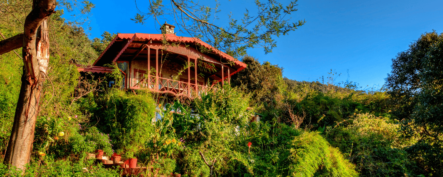 hotel in pangot